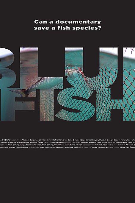 دانلود مستند Bluefish 2017