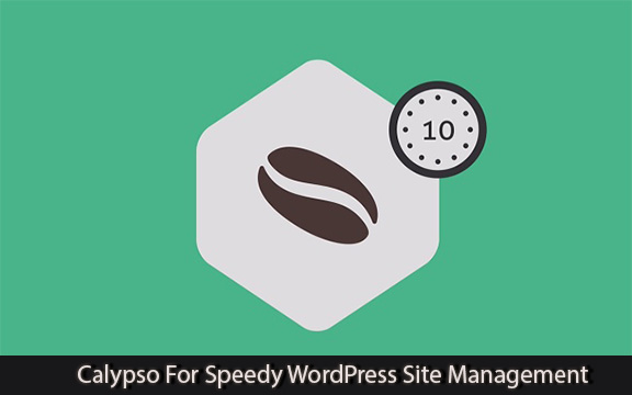 دانلود فیلم آموزشی Calypso For Speedy WordPress Site Management