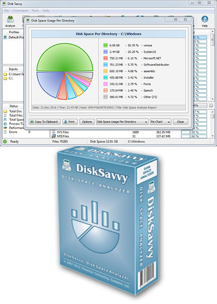 Disk Savvy Ultimate 15.3.14 download the new version for ipod