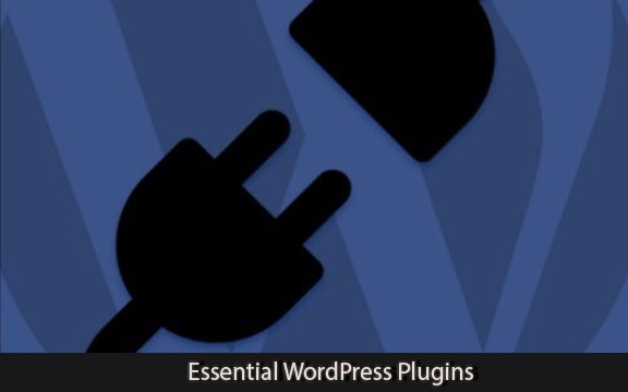 دانلود فیلم آموزشی Essential WordPress Plugins