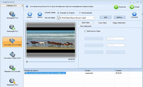 GetFLV Pro 30.2307.13.0 download the last version for iphone