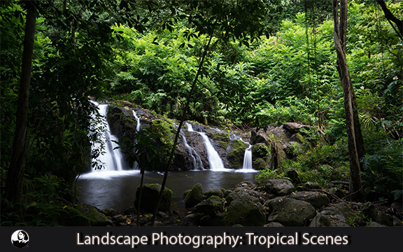 دانلود فیلم آموزشی Landscape Photography: Tropical Scenes لیندا