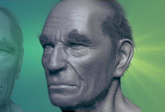 3dmotive bust sculpting in zbrush volume 2 pcd