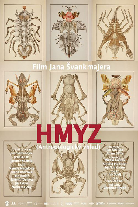 دانلود انیمیشن 2018 ( HMYZ ( Insects