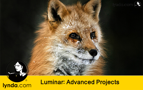 دانلود فیلم آموزشی Luminar: Advanced Projects از Lynda