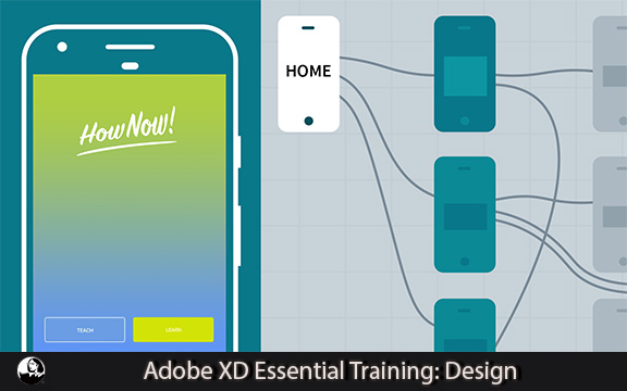 دانلود فیلم آموزشی Adobe XD Essential Training: Design 2020
