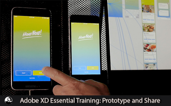 دانلود فیلم آموزشی Adobe XD Essential Training: Prototype and Share