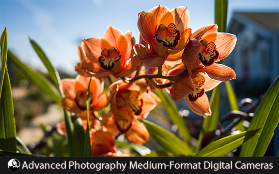دانلود فیلم آموزشی Advanced Photography: Medium-Format Digital Cameras