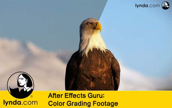 دانلود فیلم آموزشی After Effects Guru: Color Grading Footage از Lynda
