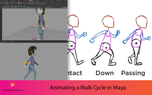 دانلود فیلم آموزشی Animating a Walk Cycle in Maya