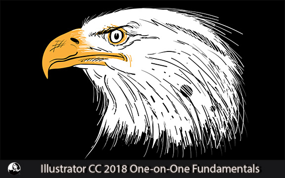 دانلود فیلم آموزشی Illustrator CC 2018 One-on-One Fundamentals