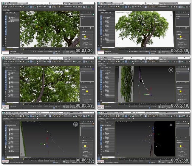 دانلود فیلم آموزشی Creating a Realistic Low Poly Tree in 3ds Max