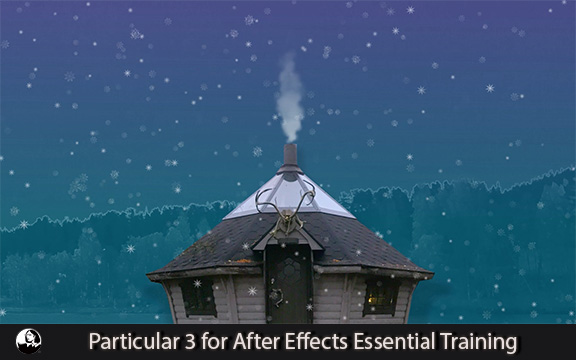 دانلود فیلم آموزشی Particular 3 for After Effects Essential Training