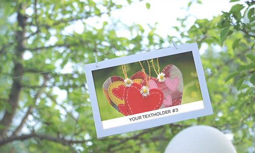 Videohive Photo Gallery - Our Happy Day center
