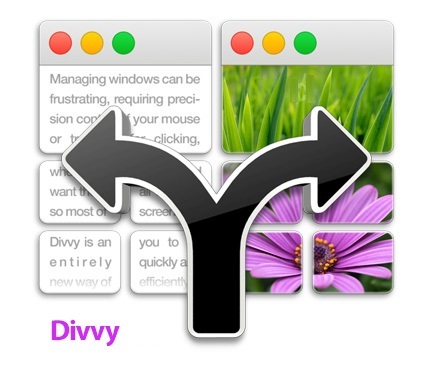 Divvy center