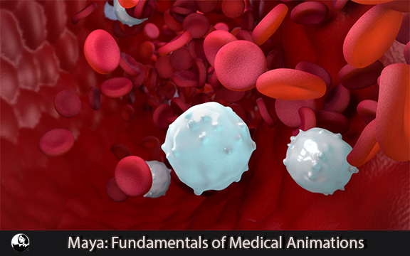 دانلود فیلم آموزشی Maya: Fundamentals of Medical Animations