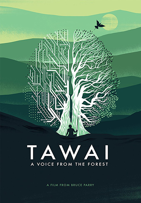 دانلود فیلم مستند Tawai: A Voice from the Forest 2017
