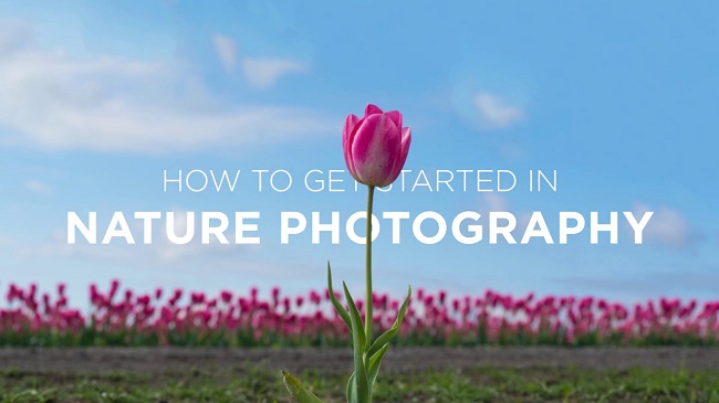 دانلود فیلم آموزشی How to Get Started in Nature Photography with John Greengo