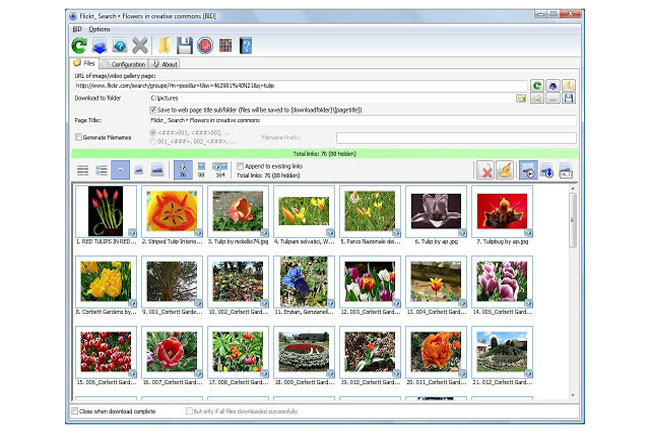 Bulk Image Downloader 6.28 free instals