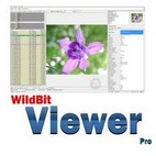 instal the last version for ipod WildBit Viewer Pro 6.12