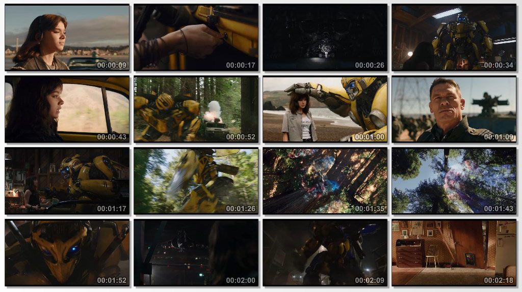 Bumblebee 2018 - Screen