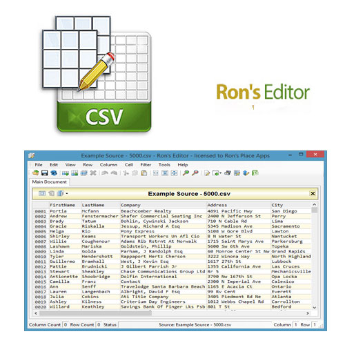 دانلود نرم افزار Rons Editor v2019.02.16.1200 – win