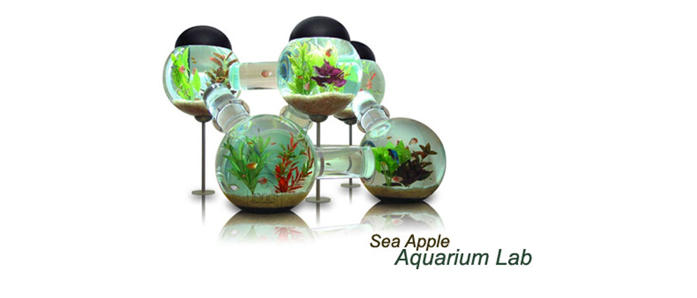 SeaApple.Aquarium.Lab.center