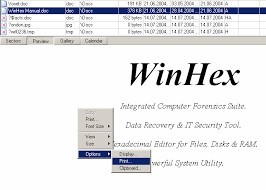 WinHex 20.8 SR1 download the last version for iphone