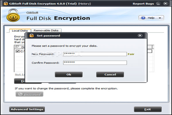 Gilisoft Full Disk Encryption 5.4 downloading