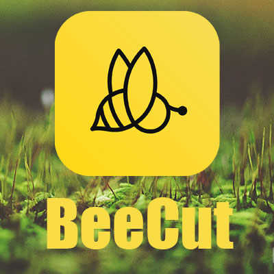 دانلود نرم افزار BeeCut v1.4.8.9 Build 04/22/2019 – win