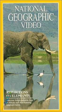دانلود فیلم مستند Reflections on Elephants
