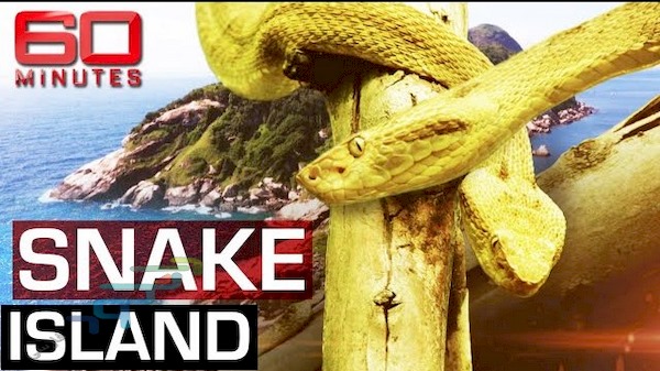 دانلود مستند Snake Island