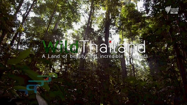 دانلود مستند Wild Thailand – A Land Of Beauty
