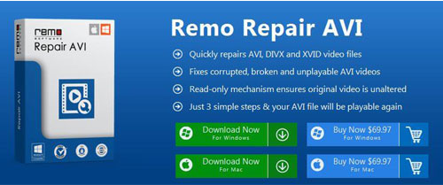 remo repair avi download file