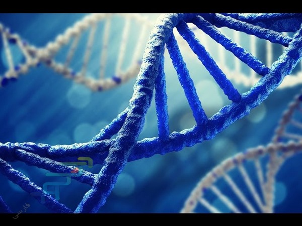 دانلود مستند DNA Science