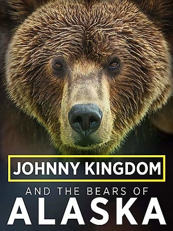 مستند Johnny Kingdom & the Bears of Alaska 2013 کیفیت 1080p