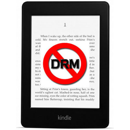 kindle drm removal 2019