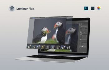 Luminar-Flex-745x479.jpg.optimal