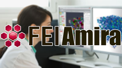 دانلود نرم افزار FEI Amira v6.0.1