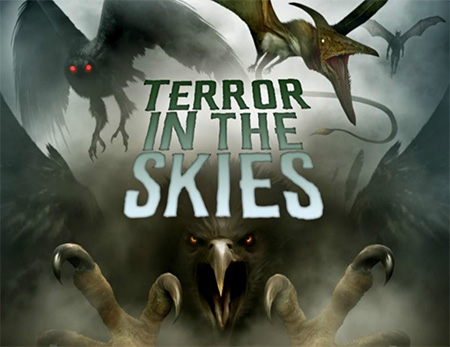 دانلود فیلم مستند وحشت در آسمان Terror in the Skies
