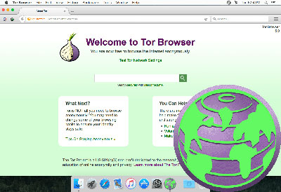 tor browser bundle.