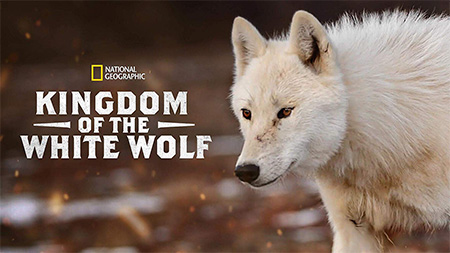 دانلود مستند سریالی پادشاهی گرگ سفید Kingdom of the White Wolf