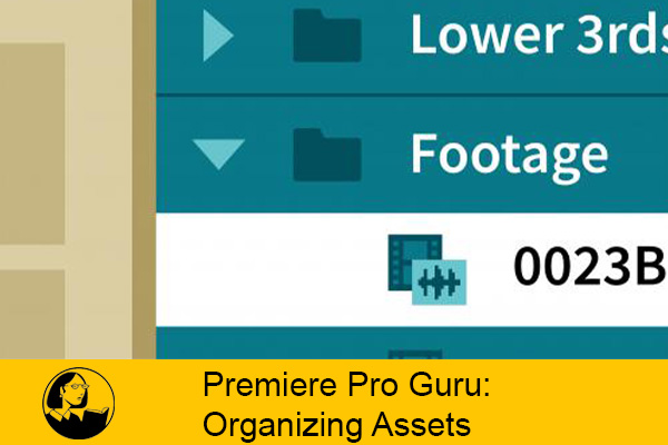 دانلود فیلم آموزشی Premiere Pro Guru: Organizing Assets