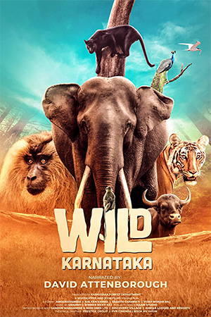 دانلود فیلم مستند کارناتاکا وحشی Wild Karnataka