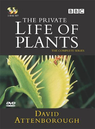 دانلود مستند زندگی خصوصی گیاهان The Private Life of Plants