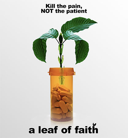 دانلود فیلم مستند A Leaf of Faith