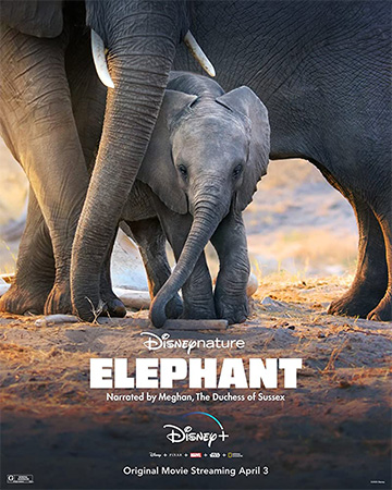 دانلود فیلم مستند فیل Elephant