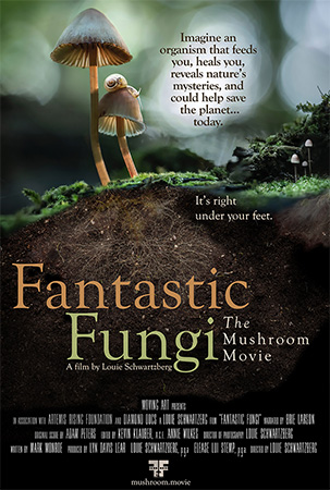 دانلود فیلم مستند قارچ شگفت انگیز Fantastic Fungi