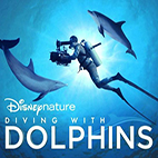Diving with Dolphins
