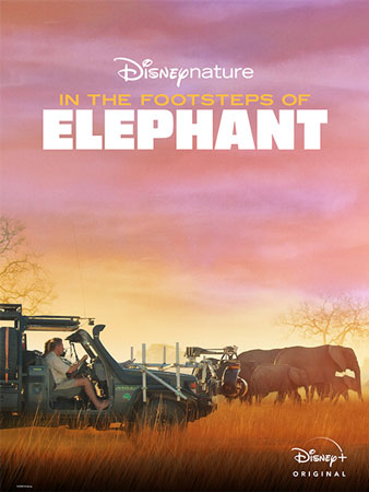دانلود فیلم مستند در تعقیب فیل In the Footsteps of Elephant